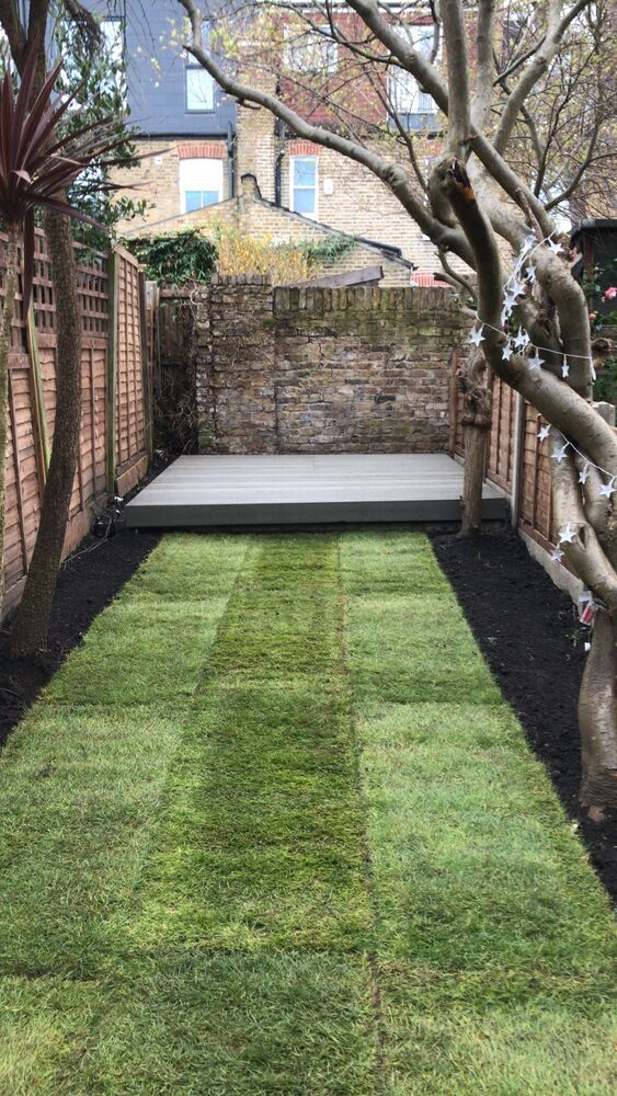 Professional tree trimming and hedge maintenance